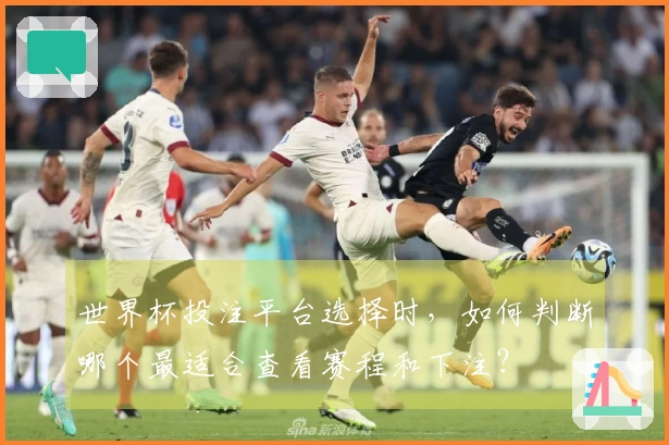 世界杯投注平台选择时，如何判断哪个最适合查看赛程和下注？