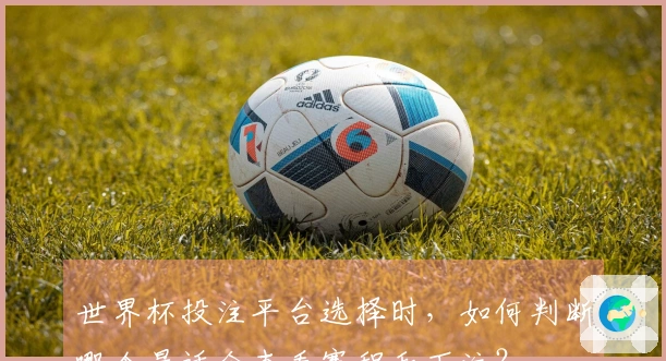 世界杯投注平台选择时，如何判断哪个最适合查看赛程和下注？