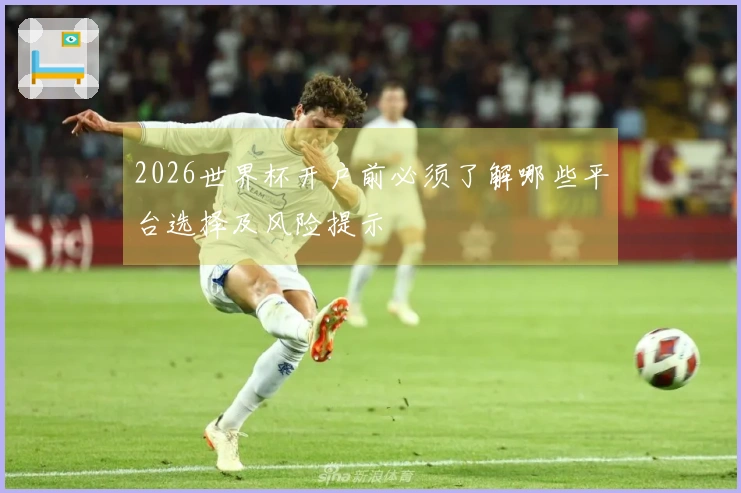 2026世界杯开户前必须了解哪些平台选择及风险提示