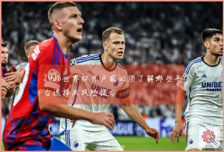 2026世界杯开户前必须了解哪些平台选择及风险提示